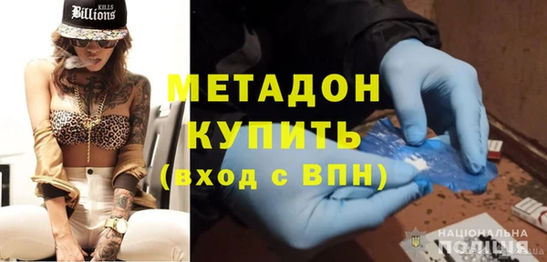 прущие грибы Алзамай