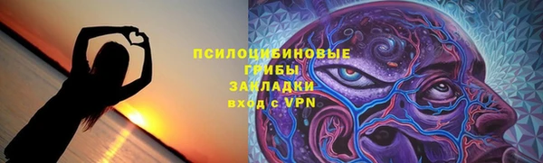 прущие грибы Алзамай