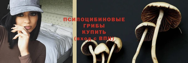 дмт Алексеевка