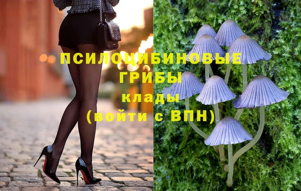 прущие грибы Алзамай
