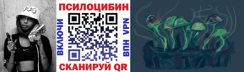 blacksprut   Анива  Псилоцибиновые грибы Cubensis  закладка 
